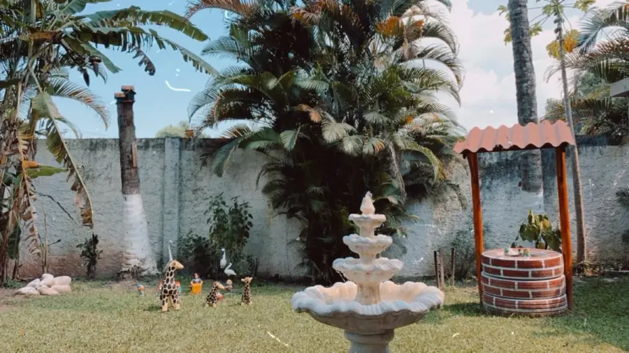 Jardim com fonte de água, palmeiras e gramado