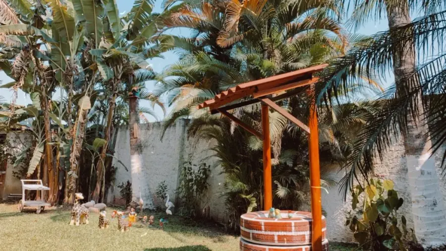Jardim arborizado com poço decorativo, bananeiras e palmeiras